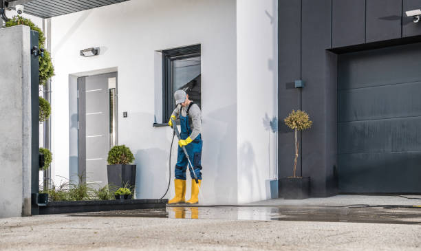 Best Dumpster Area Cleaning  in Galva, IL
